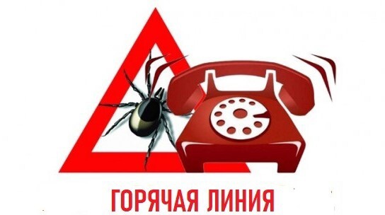 О проведении Всероссийской «горячей линии» по профилактике клещевого энцефалита.